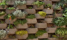 Buffalo Retaining Walls